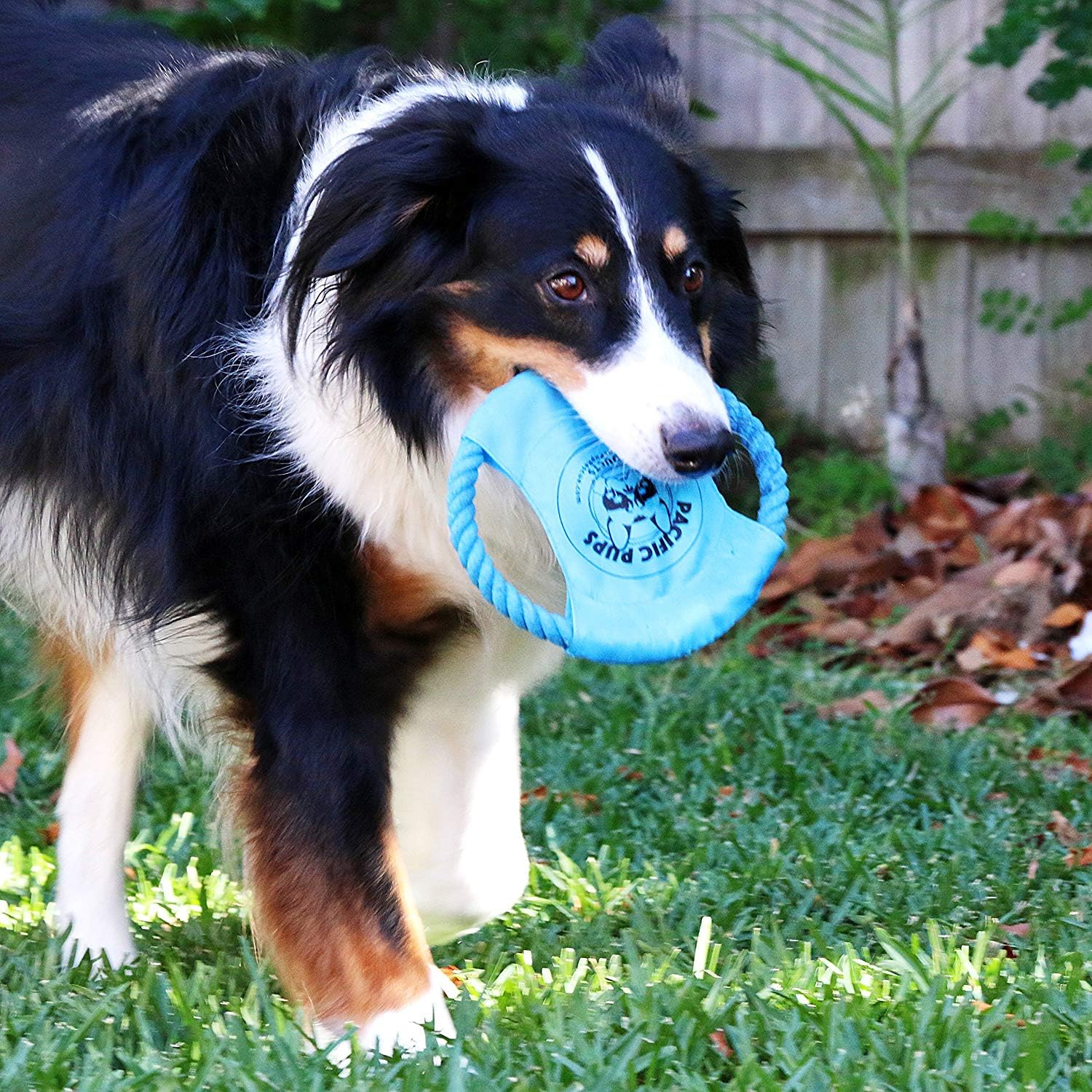 Pacific Pups supports rescue with every purchase.