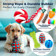 Pacific Pups rope toys for interactive tug