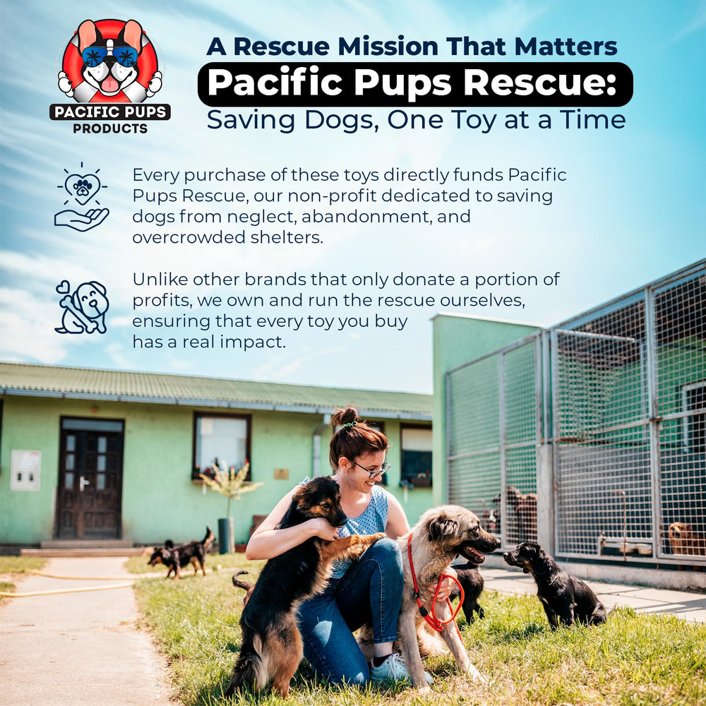 Pacific Pups squeaky toys for indoor fun