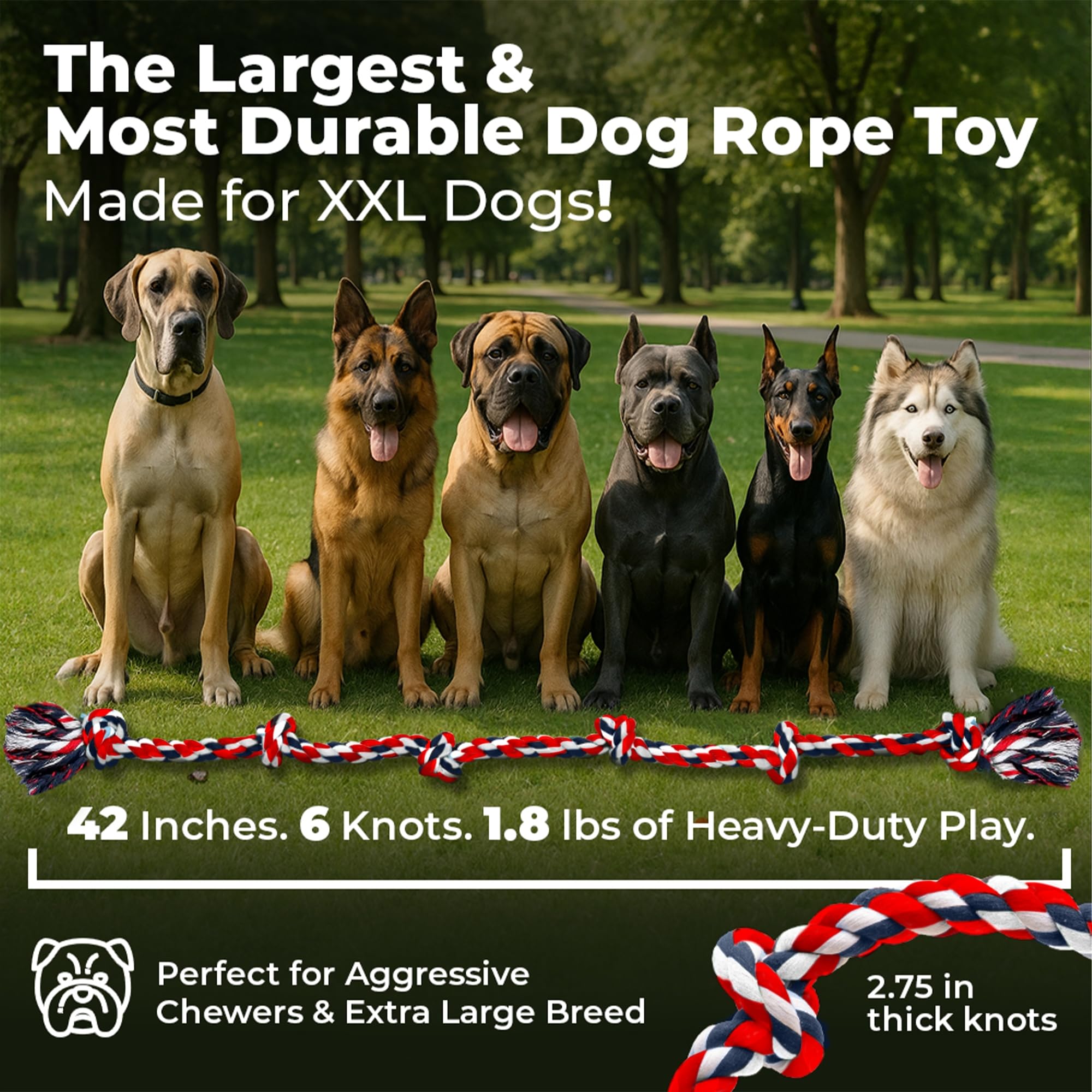 Pacific Pups 6-knots red rope toy supports longer chew sessions.