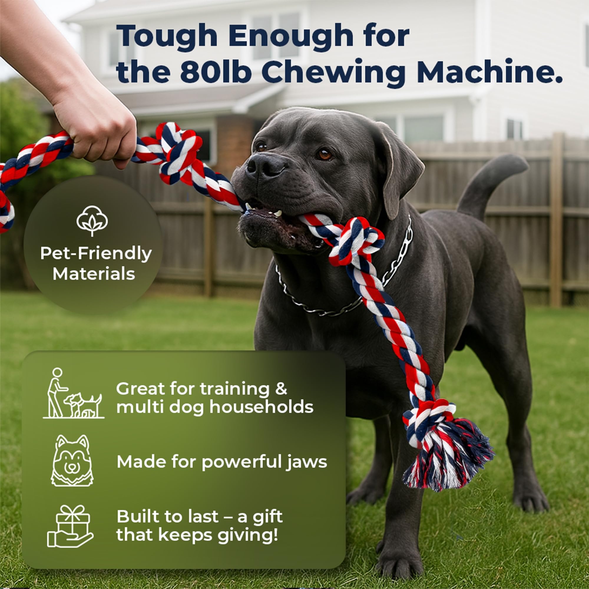 Pacific Pups tug-of-war red rope toy for shared play.