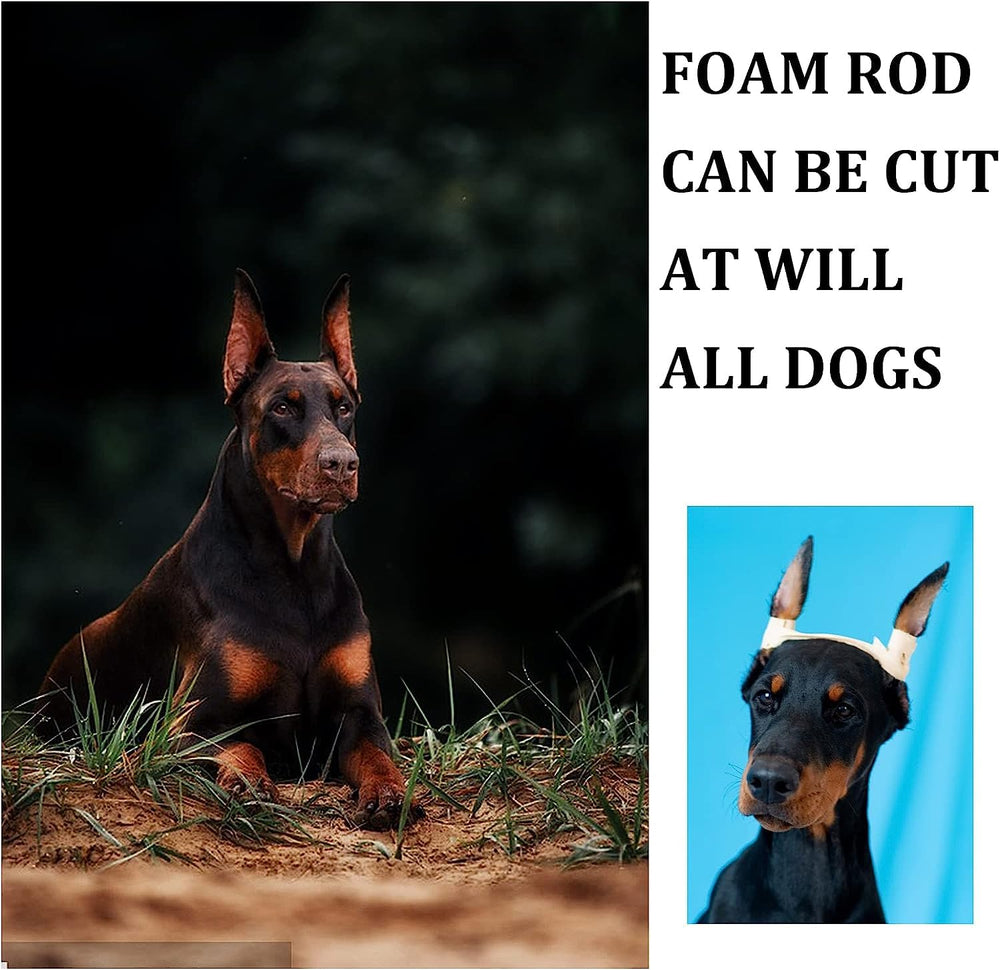 Pacify Doberman Ear Posting Kit close-up showing soft sponge sticks for comfort