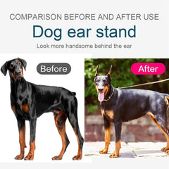 Pacify Doberman Ear Posting Kit detail sticks close-up showing soft material for gentle handling