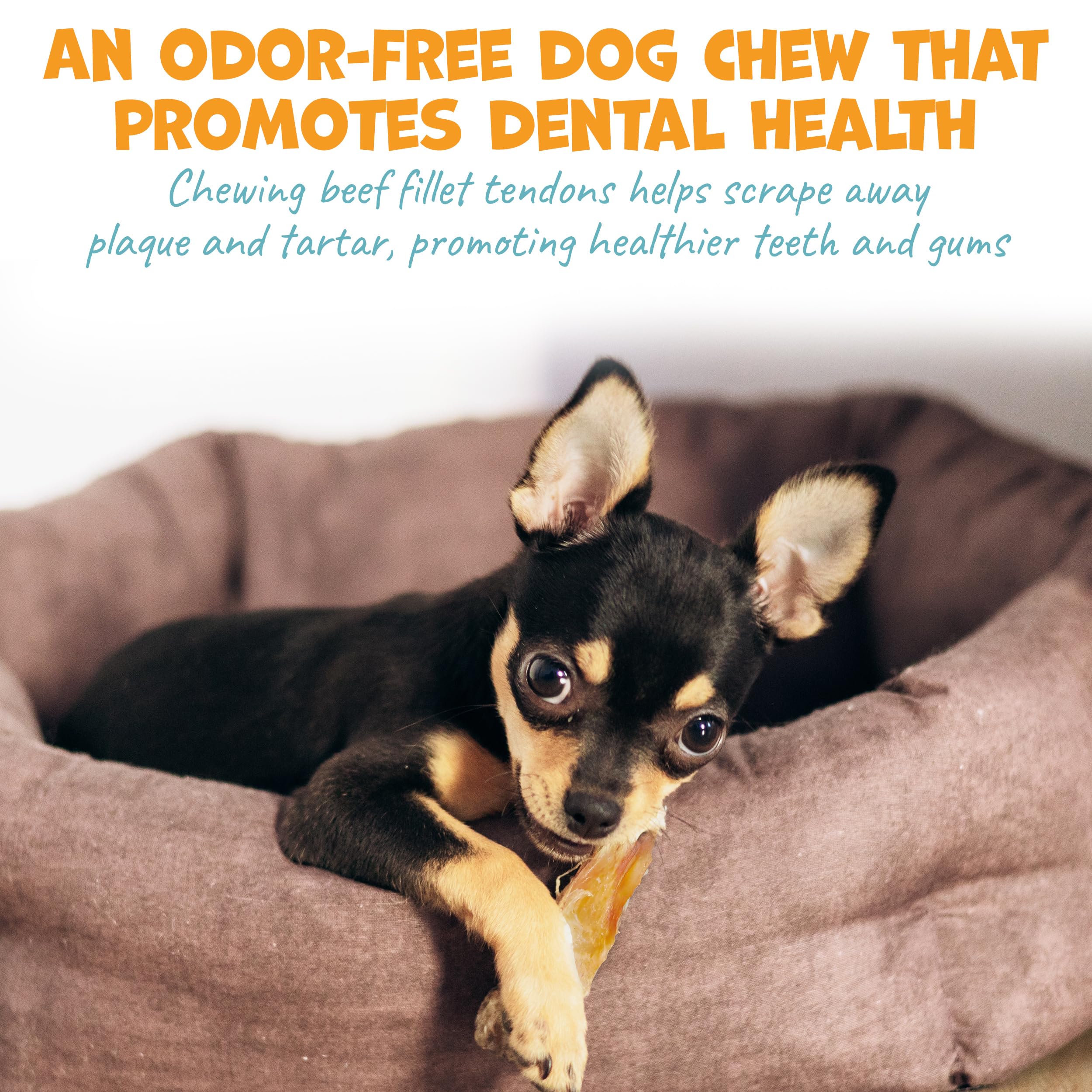 Pack Approved beef tendon dog treat for medium breed dogs
