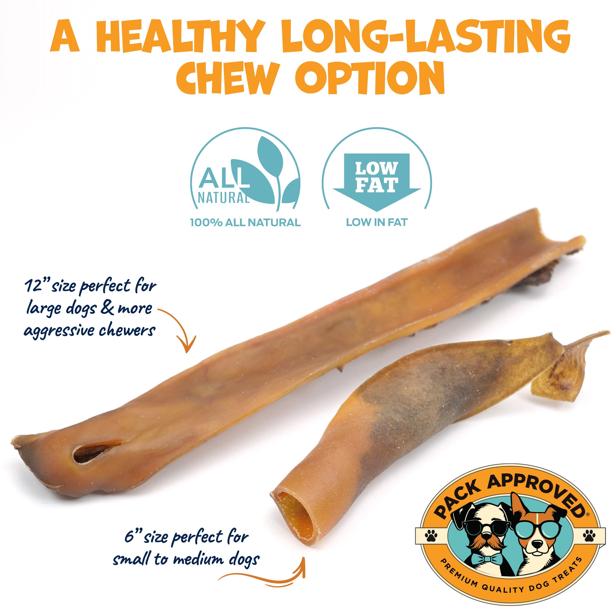 Pack Approved Camel Skin Dog Chews collagen-rich sticks suggest shiny coat and healthy skin.