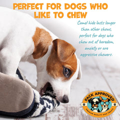 Pack Approved Camel Skin Dog Chews dental-benefits close-up shows collagen support for coats.