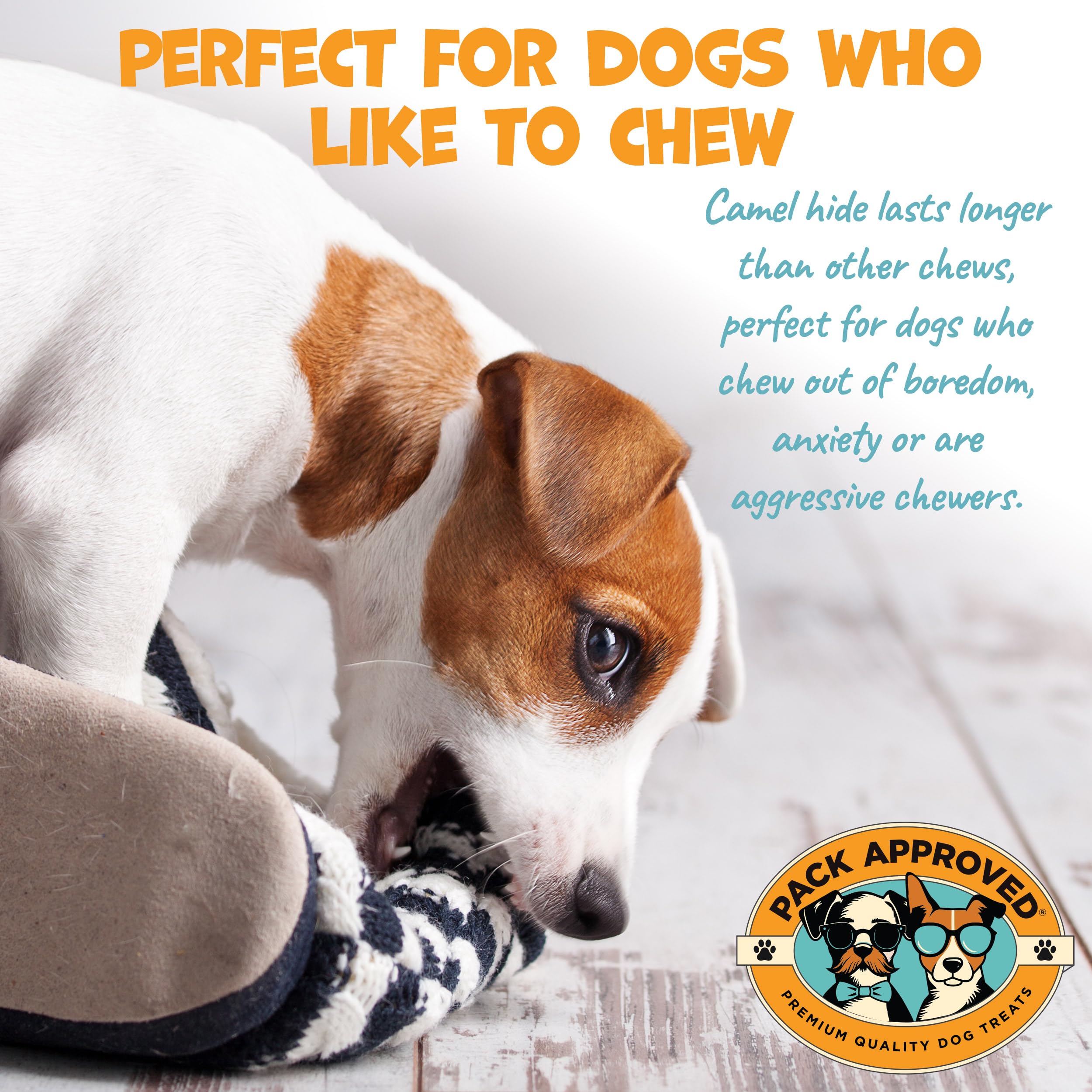 Dog enjoys camel skin chew during playtime illustrating mental engagement from Pack Approved