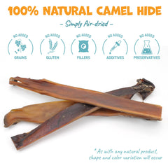 Close-up of camel skin chew texture showing long-lasting chew for aggressive chewers
