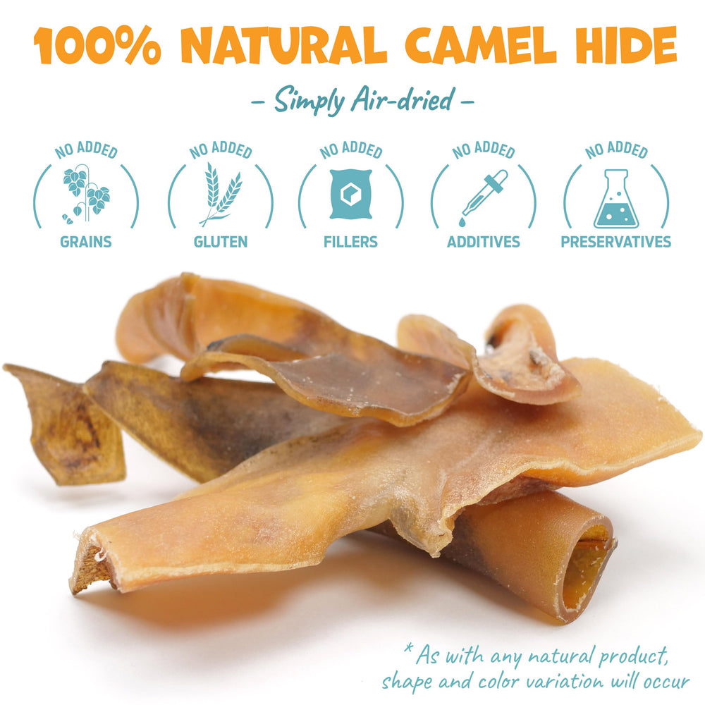 Pack Approved Camel Skin Dog Chews tough-stick illustrates durability for aggressive chewers.