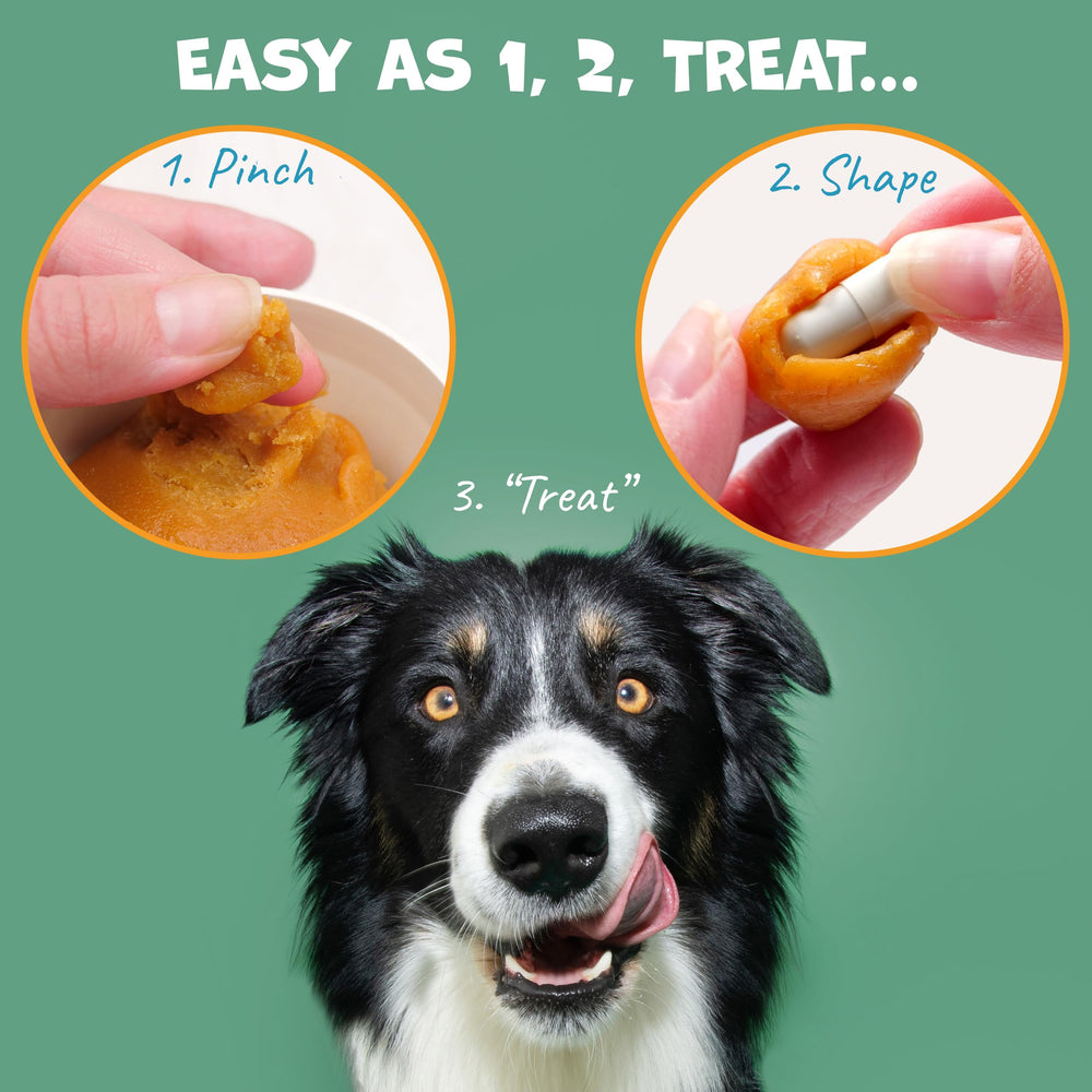 Pack Approved Flavor-Doh soft-paste closeup shows pliable texture for pill pockets
