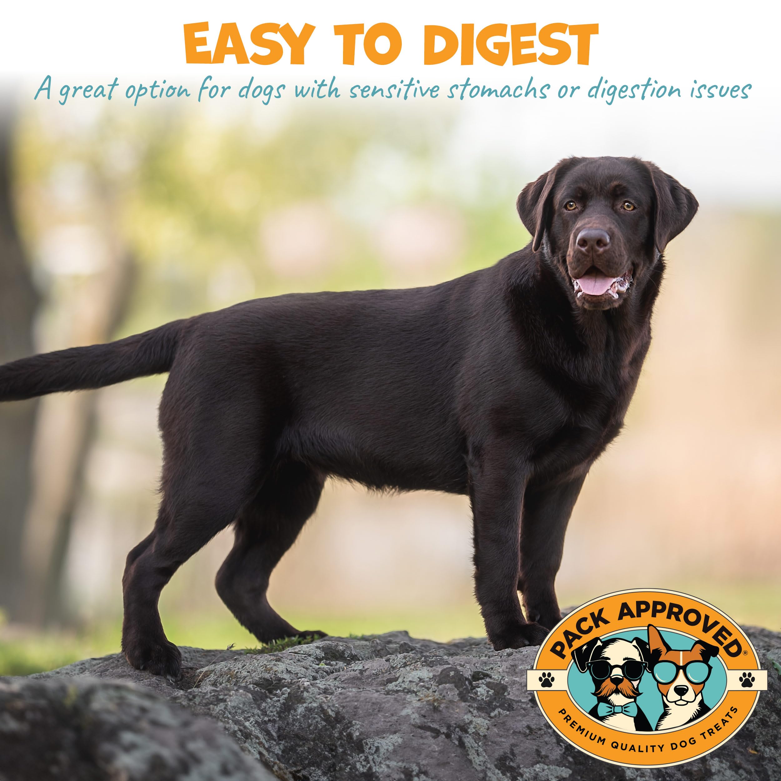 Pack Approved single-ingredient lamb tripe for sensitive stomachs.