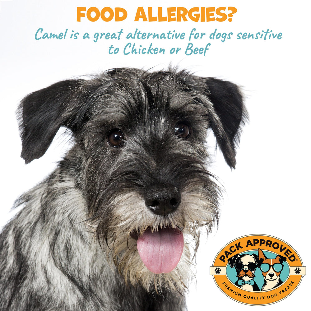 Pack Approved one-ingredient dog treat emphasizing natural ingredients.