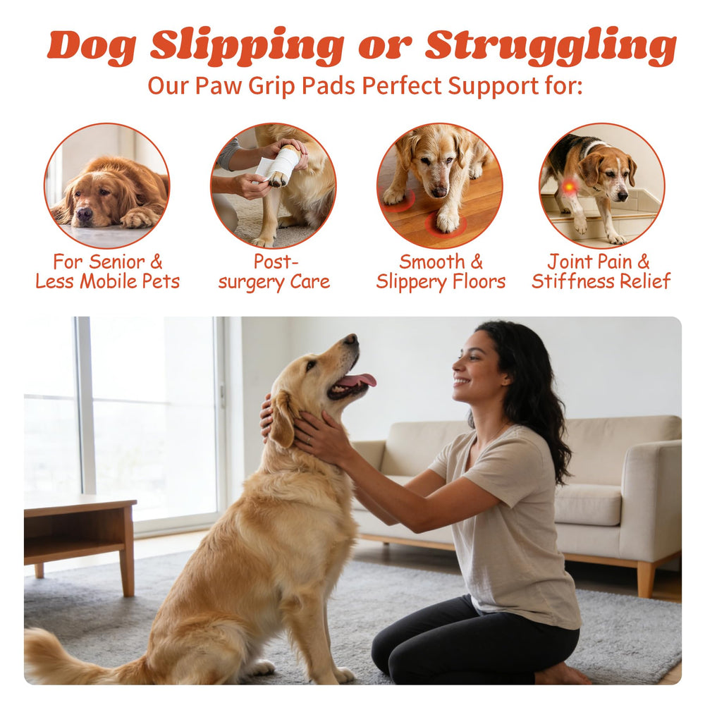 Padshld dog paw protectors on a senior dog showing gentle stability