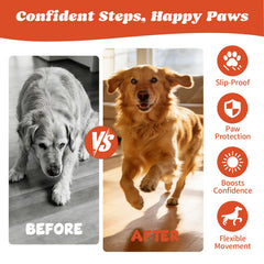 Padshld paw protectors being applied with peel-and-stick method