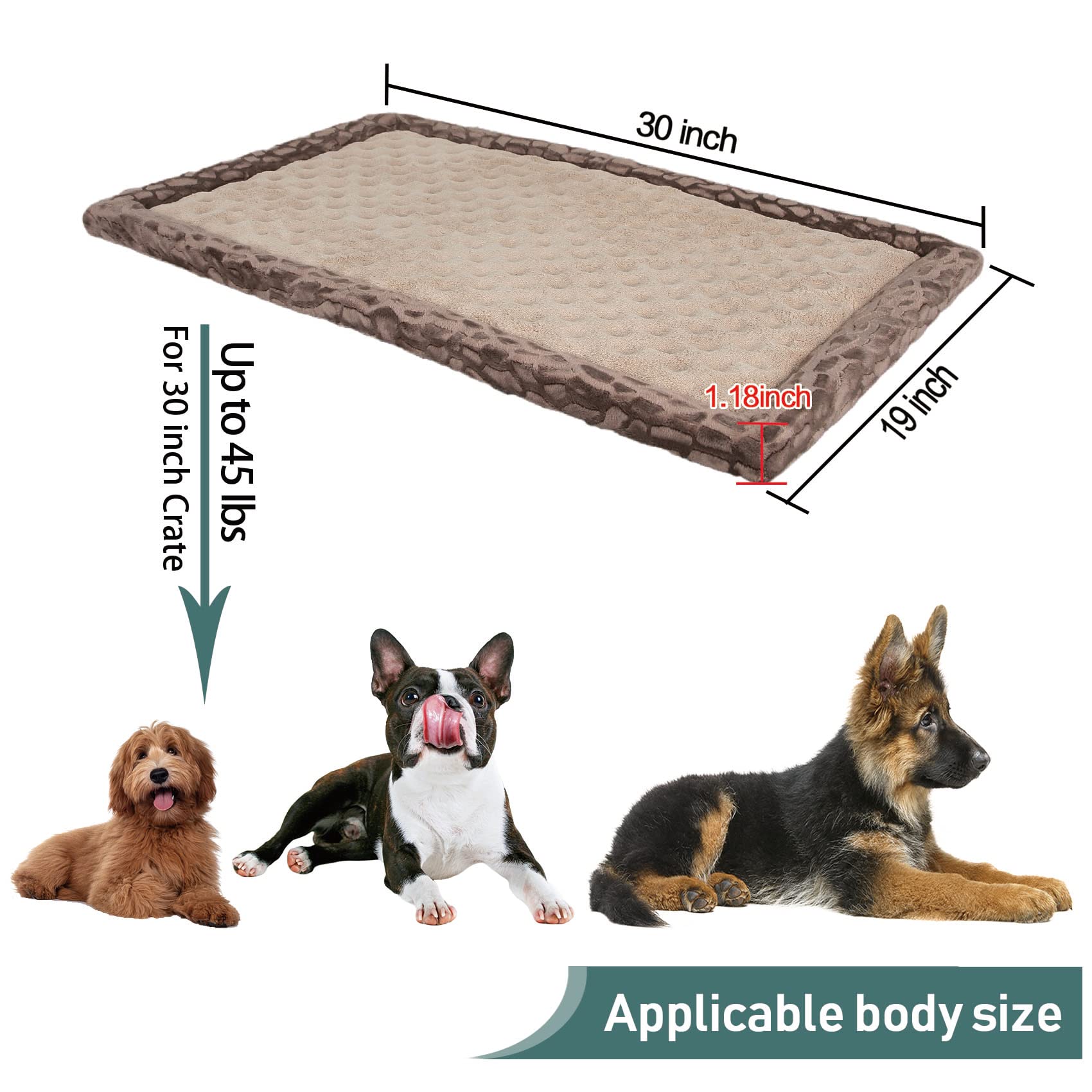 PAGGED lightweight design makes it easy for dogs to relax on the pad.