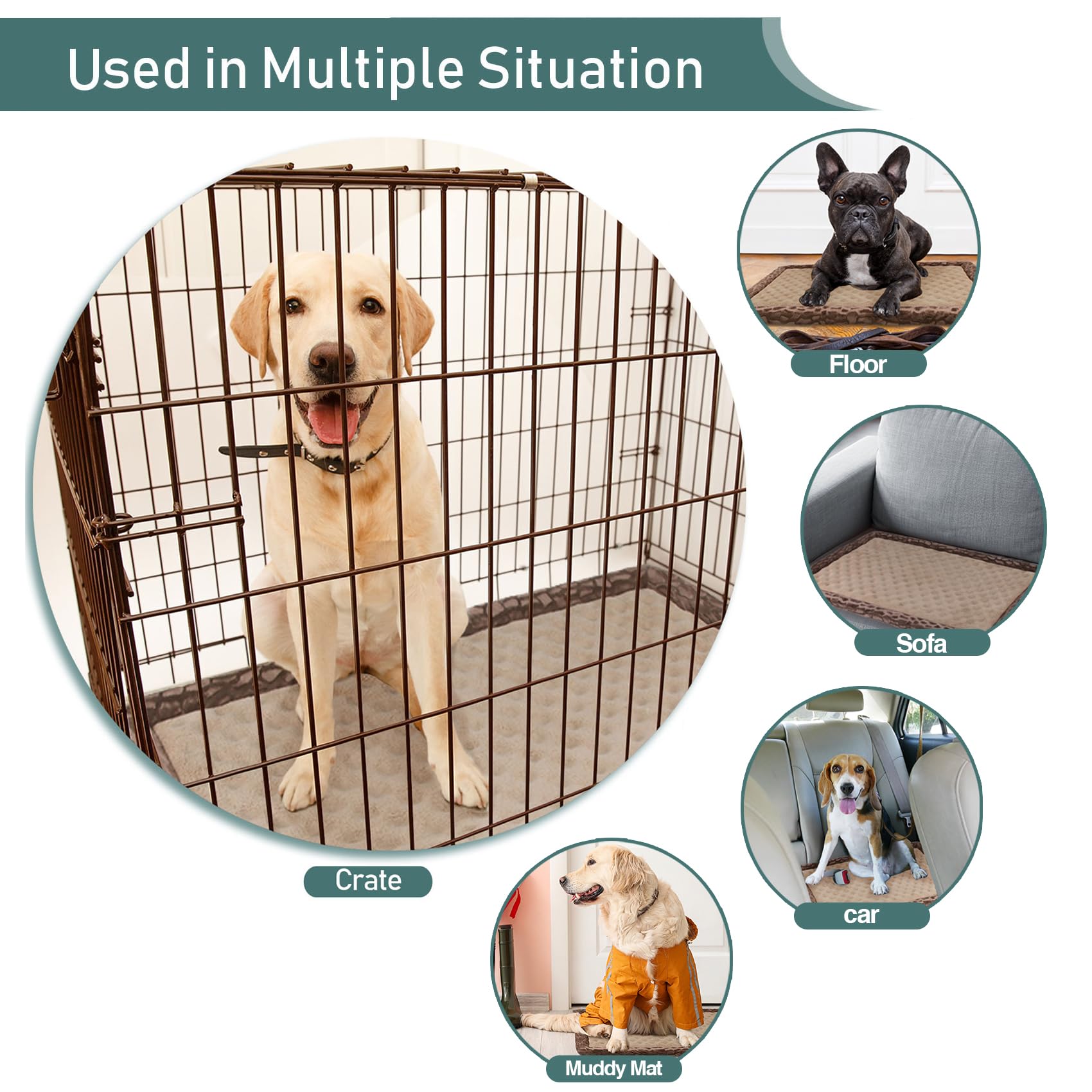 PAGGED machine washable design makes cleanup quick and easy after muddy paw prints.