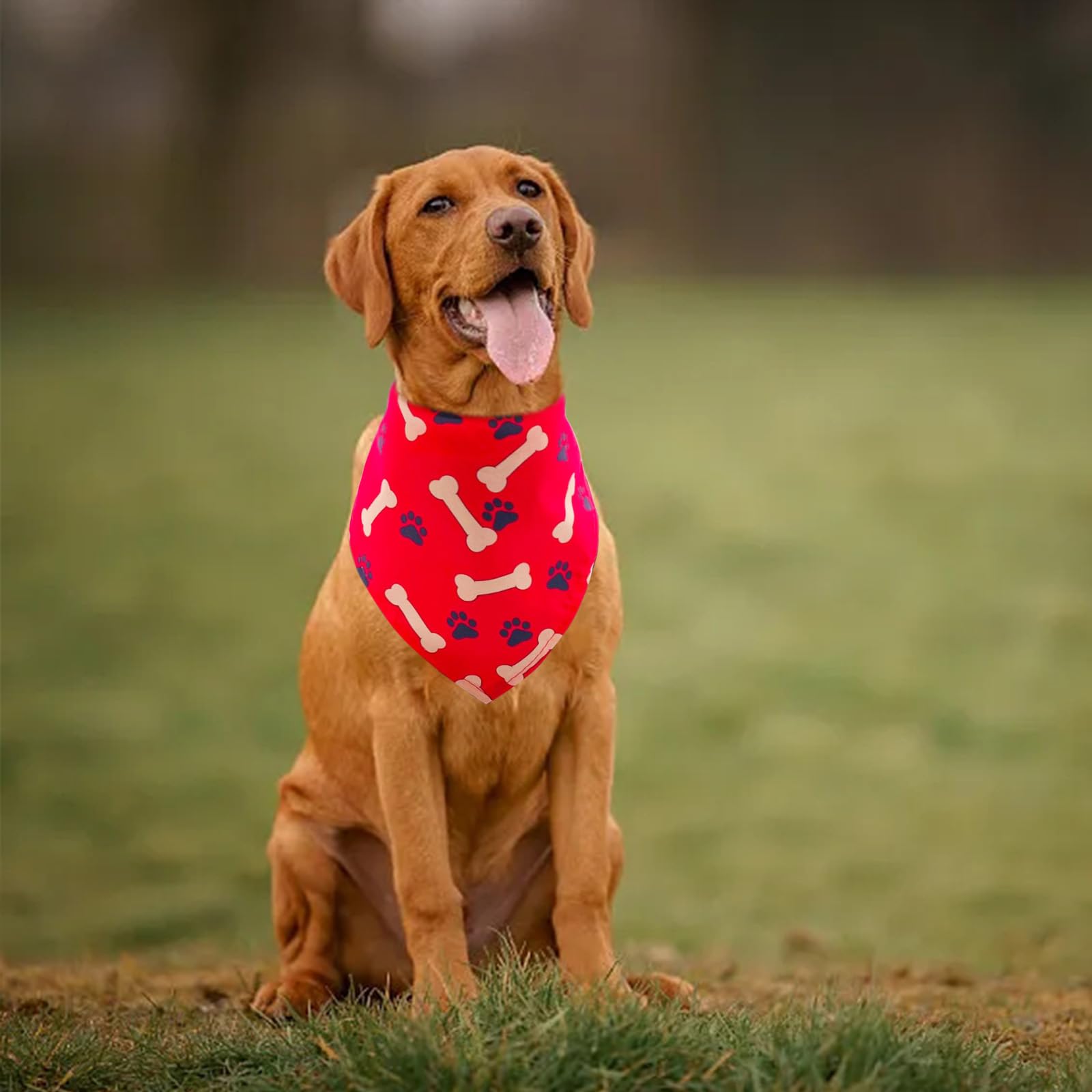 Pai Sence party-ready bandana doubles as a fun photo prop.