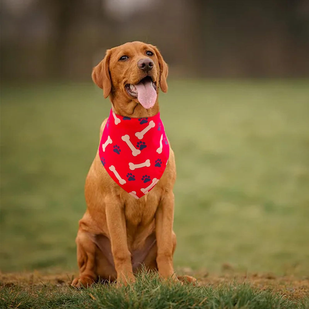 Pai Sence party-ready bandana doubles as a fun photo prop.