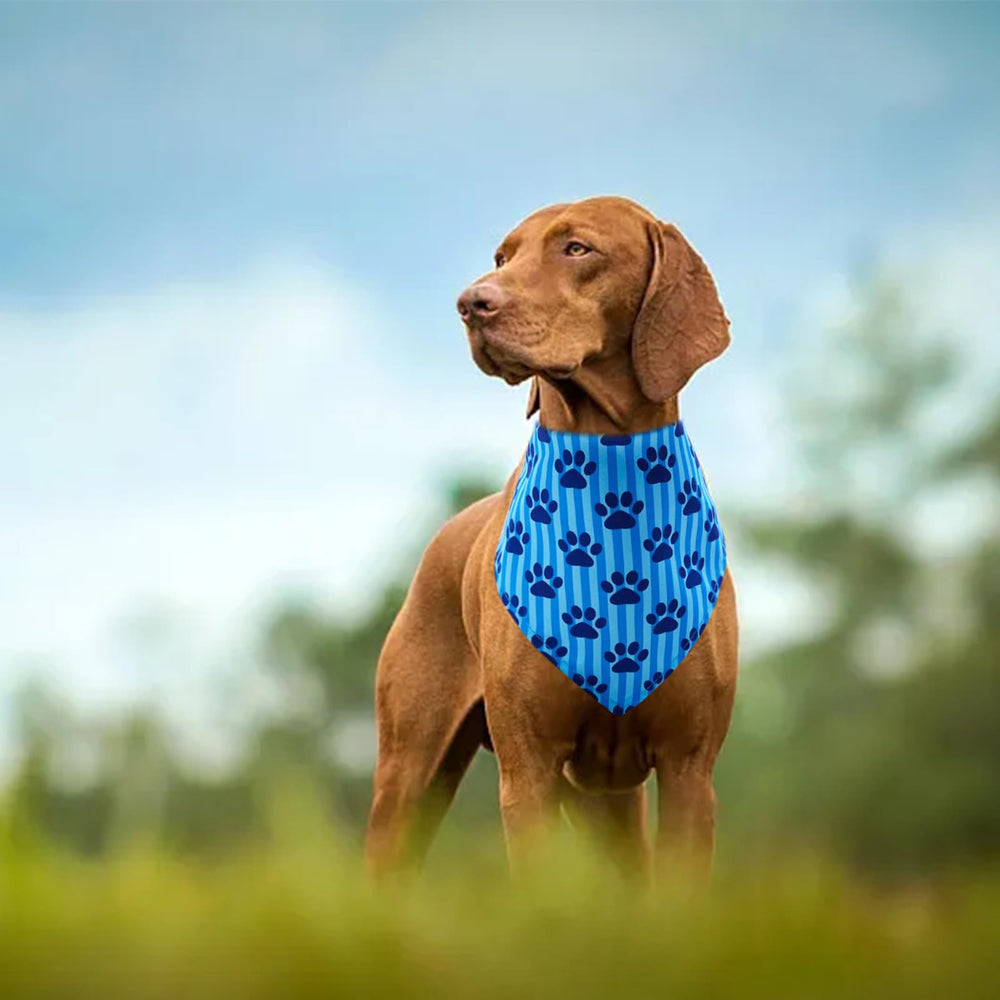 Pai Sence washable, durable print stays vibrant after multiple uses.