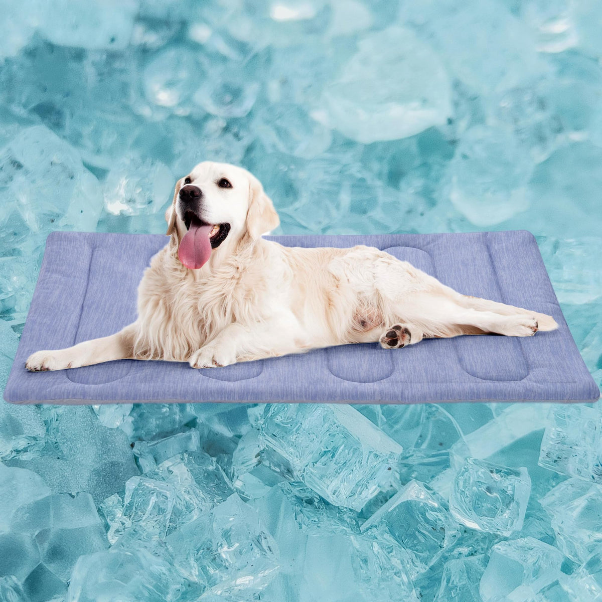 PAIGTEK cooling mat for large dogs, front view with double-sided cooling.