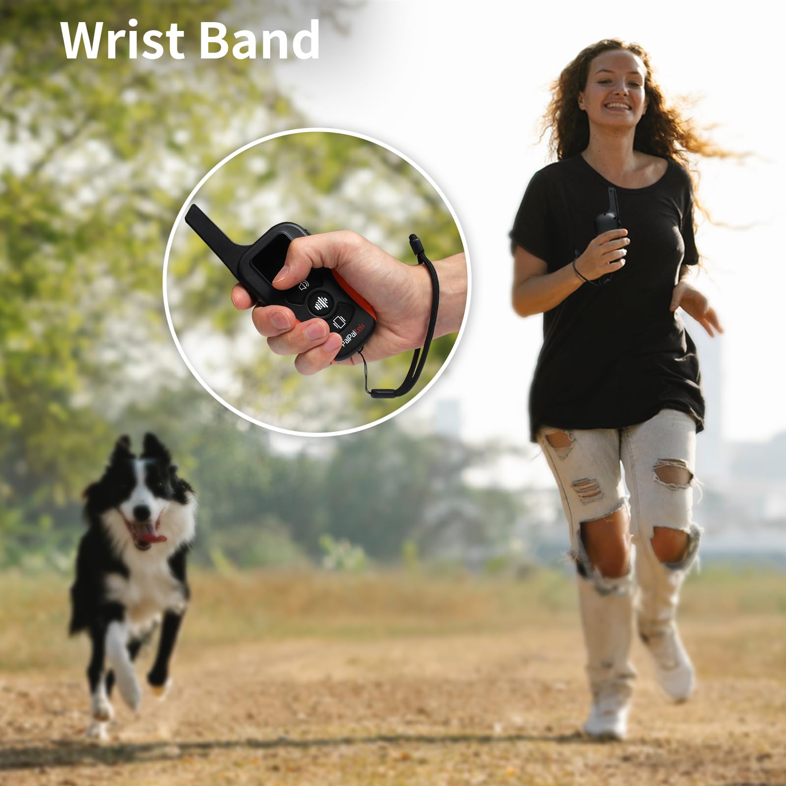 PaiPaitek 3-dog channel remote enables multi-dog training