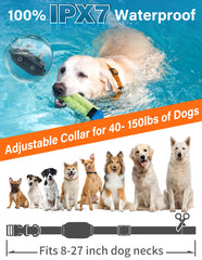 PaiPaitek bark-activated collar worn by dog during a walk for focused training.