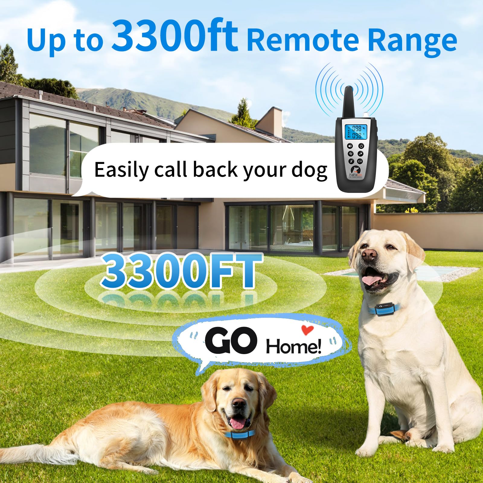 PaiPaitek collar on a dog demonstrating long-range recall feature.