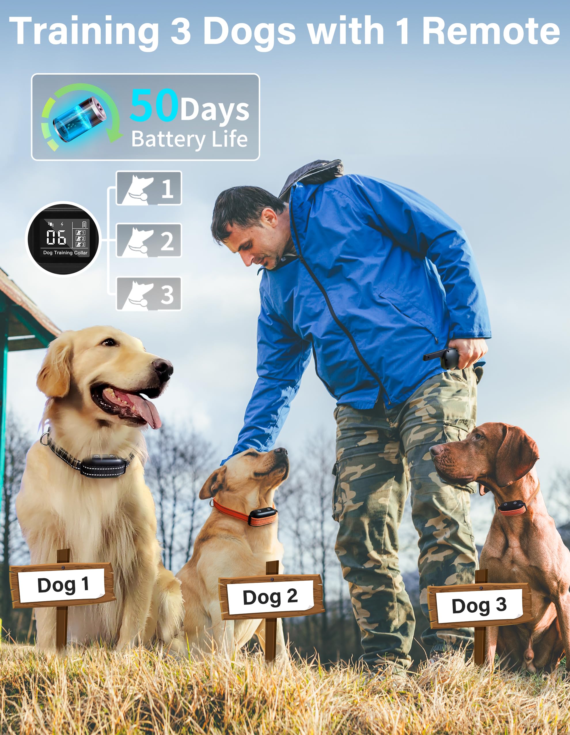 PaiPaitek multi-dog training with a single remote for households with several dogs.