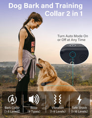 PaiPaitek waterproof receiver on a dog for outdoor durability.