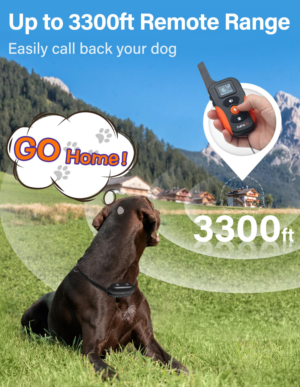 PaiPaitek remote with silicone grip for comfortable handling during training.
