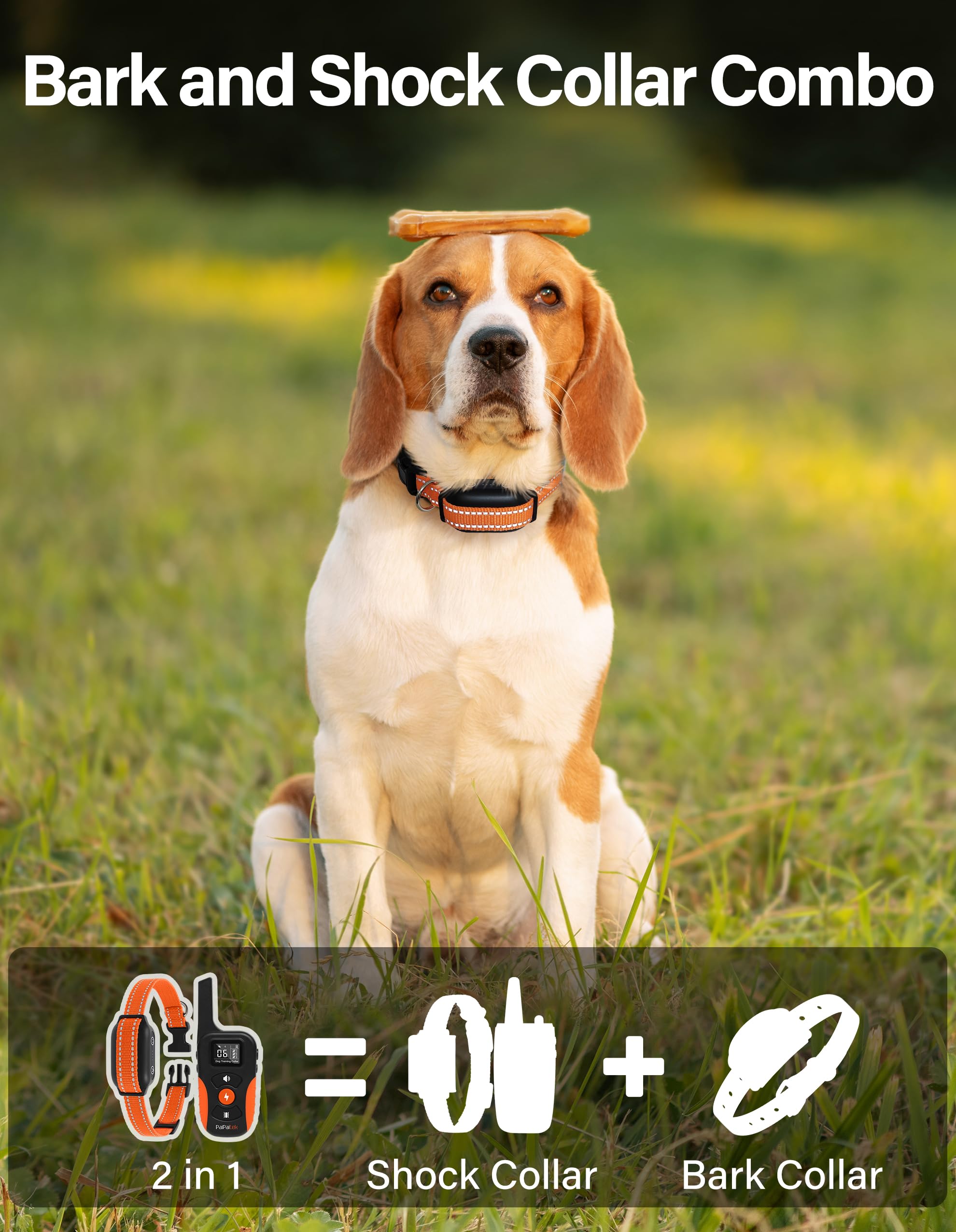 PaiPaitek three-channel training setup enabling control of multiple dogs.