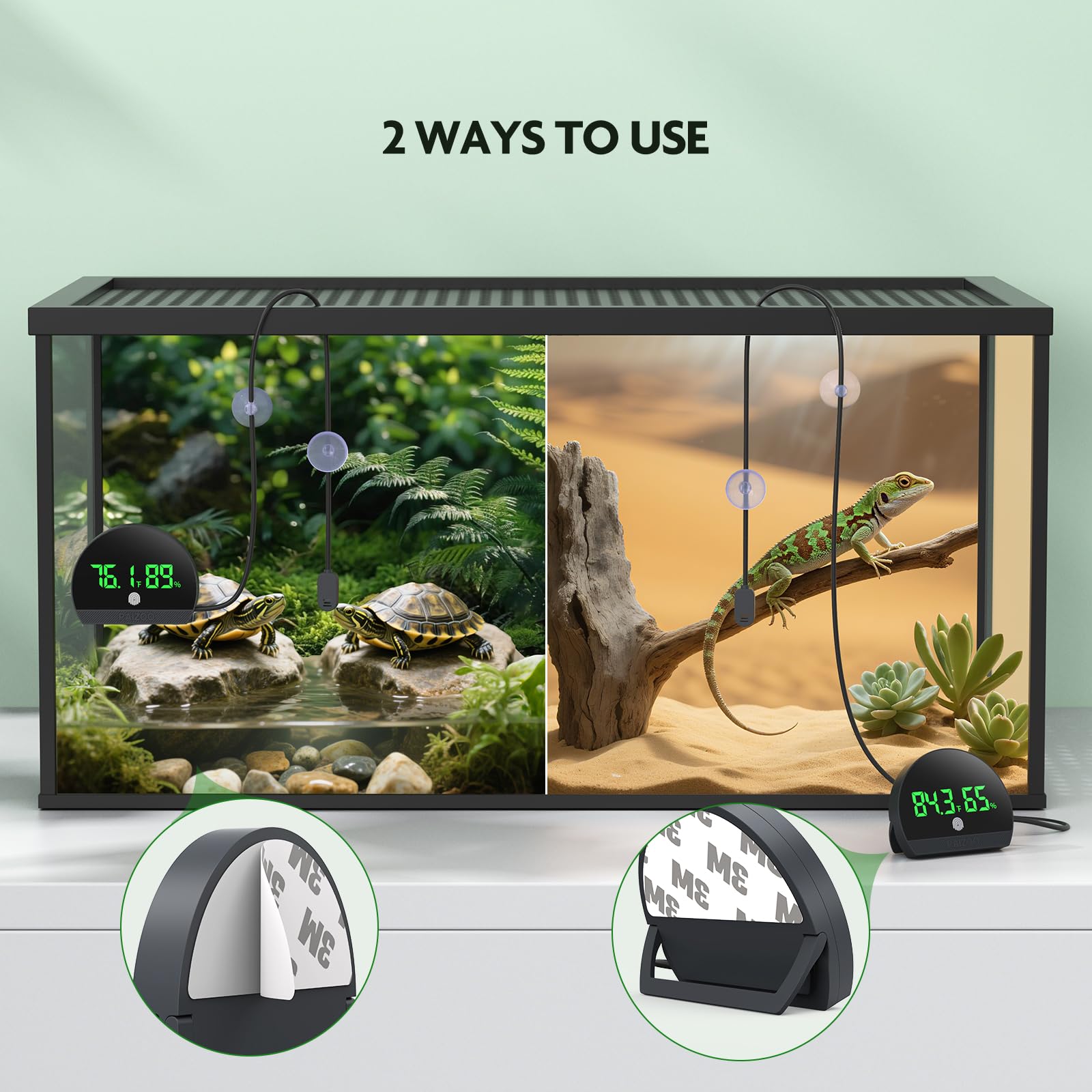 PAIZOO tank-wall mounting for stable habitat monitoring