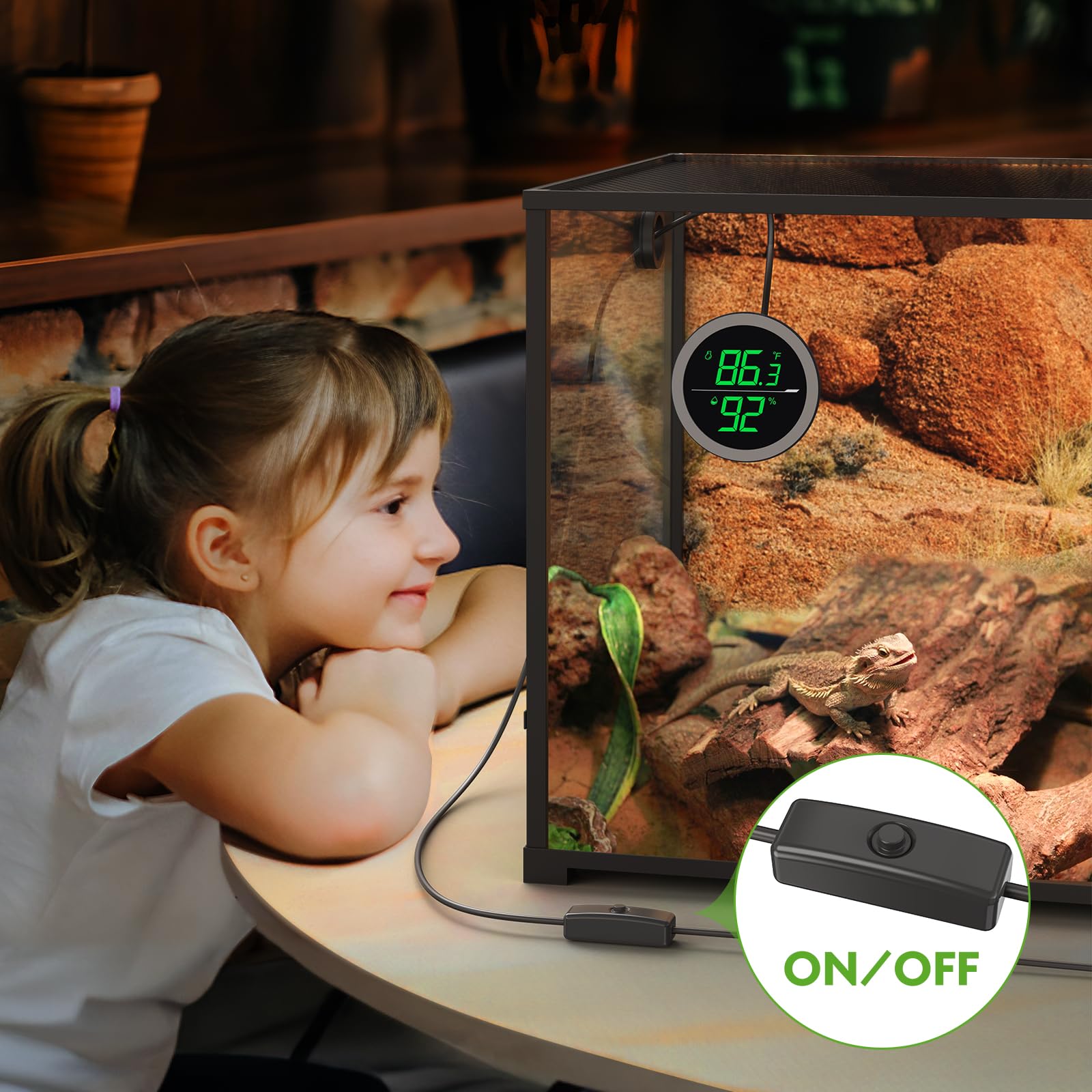 PAIZOO thermometer-hygrometer with USB power keeps terrarium monitoring continuous