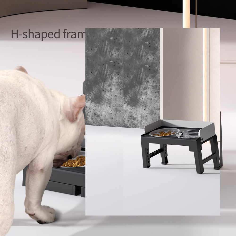 PAKEWAY XL slow-feed bowl designed for mindful, steady eating