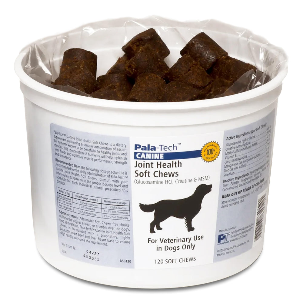 Pala Tech Canine Joint Soft Chews bottle view for easy daily joint support.