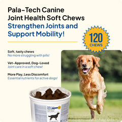Close-up of Pala Tech Canine Joint Soft Chews showing tasty texture for dogs.