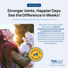 Serving dish with Pala Tech Canine Joint Soft Chews for simple dosing.