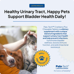 Pala Tech urinary health display showing bladder support and pH balance.