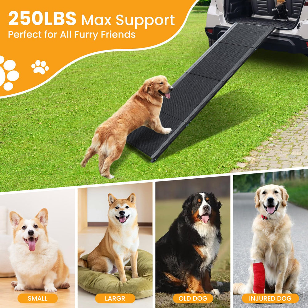 PALATALA folding ramp is compact for easy storage and travel.