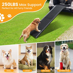 PALATALA folding ramp is compact for easy storage and travel.