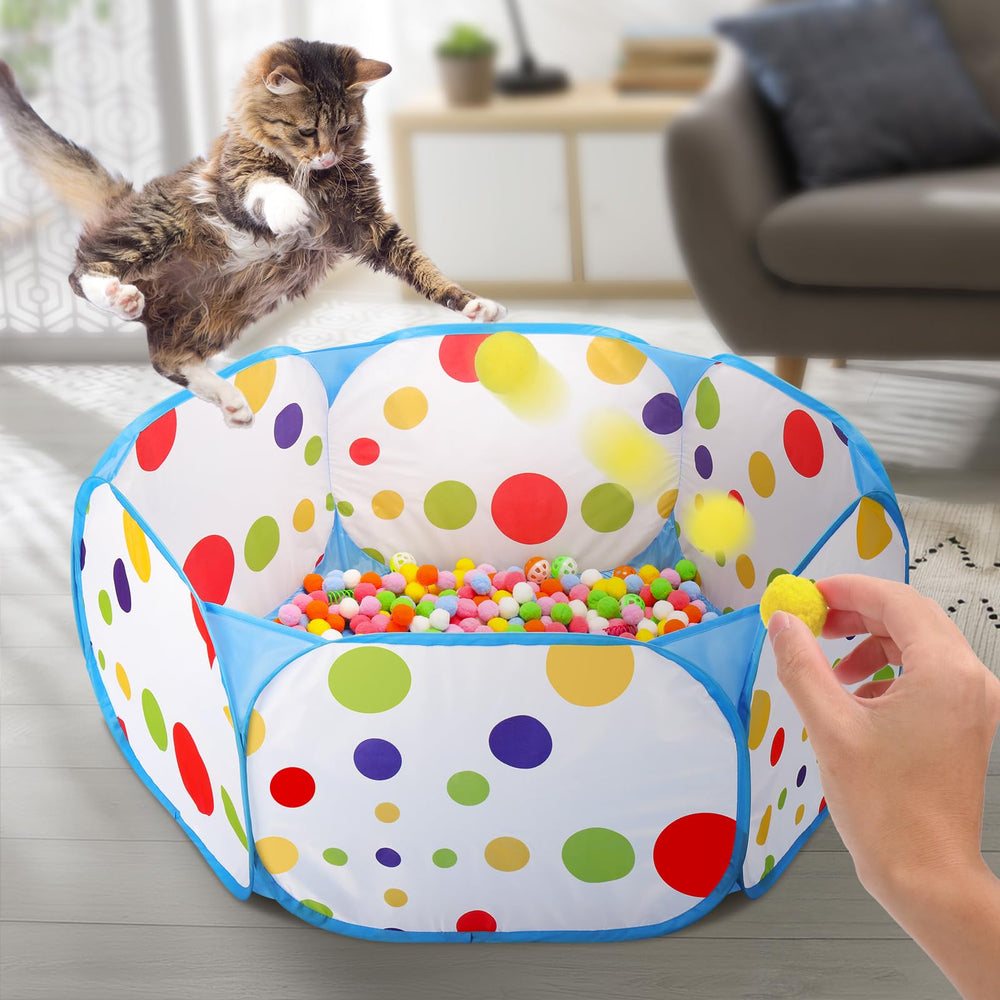 Palksky cat enjoys the ball pit as a playful space.