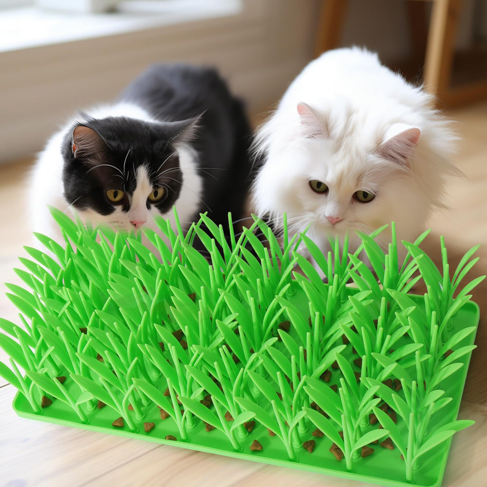 Palksky mat features catnip sprinkle for non-feeding play.