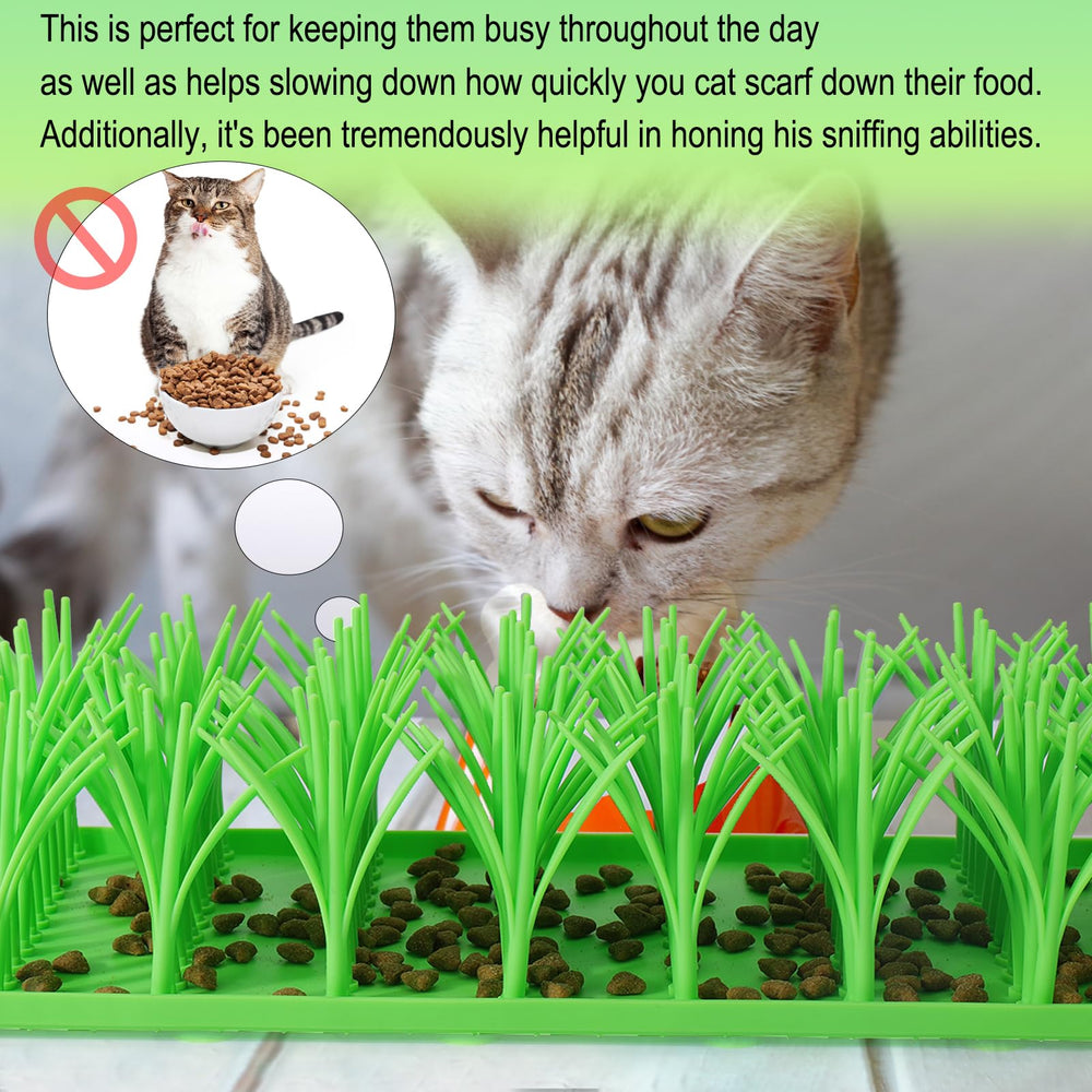 Palksky slow-food mat with foraging food in mat promotes interactive feeding.