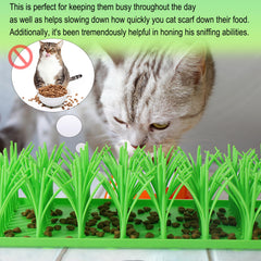 Palksky slow-food mat with foraging food in mat promotes interactive feeding.