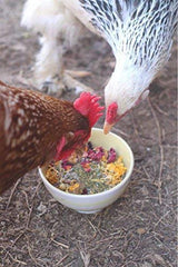 Pampered Chicken Mama crushed oyster shell mix adds calcium to your flock's diet.