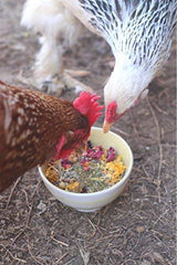 Pampered Chicken Mama dust bath spa day emphasizes a spa-like experience for birds.
