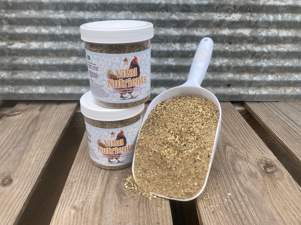 Pampered Chicken Mama economical jar shown lasts up to 30 days.