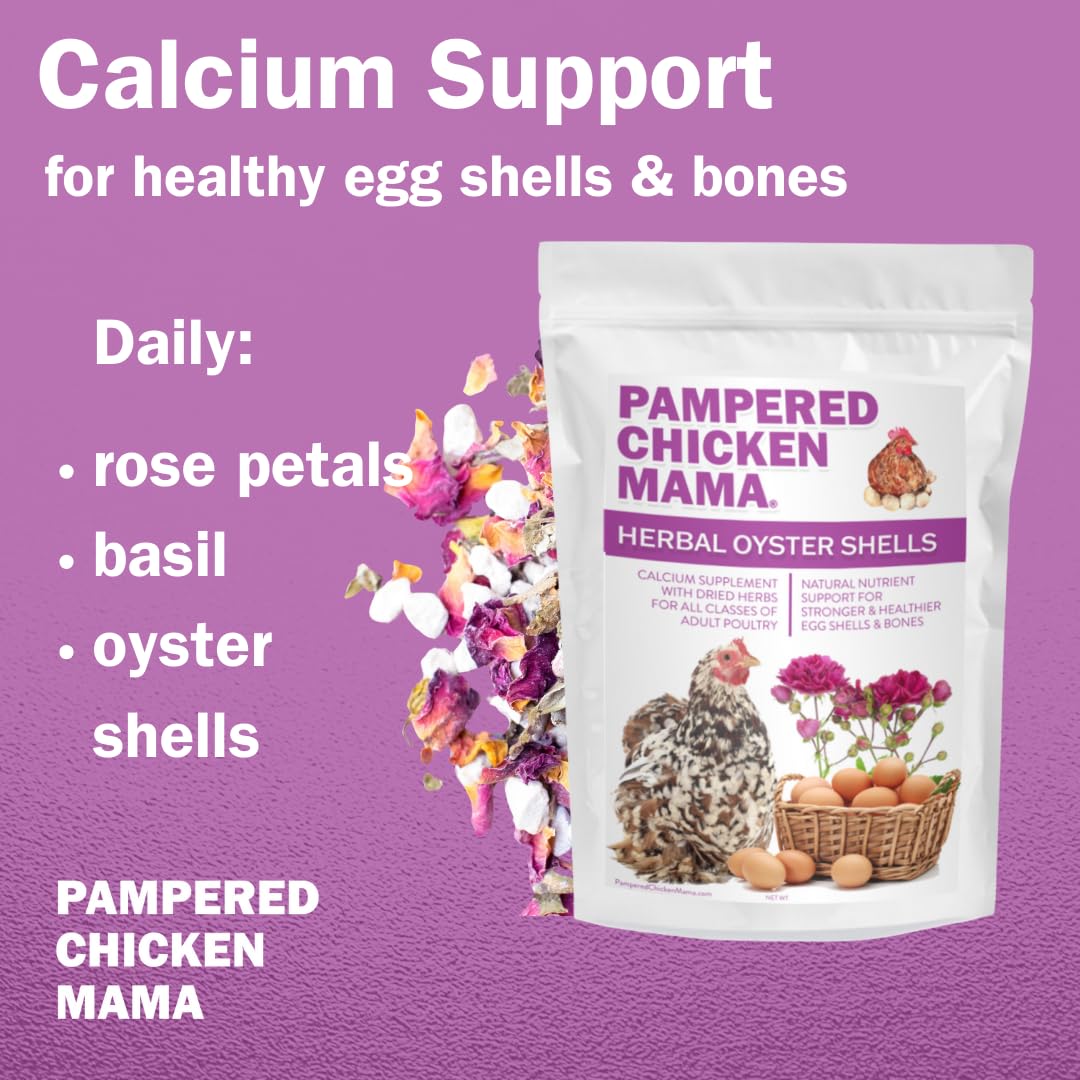 Pampered Chicken Mama herbal oyster shells dish ready for flock calcium supplementation