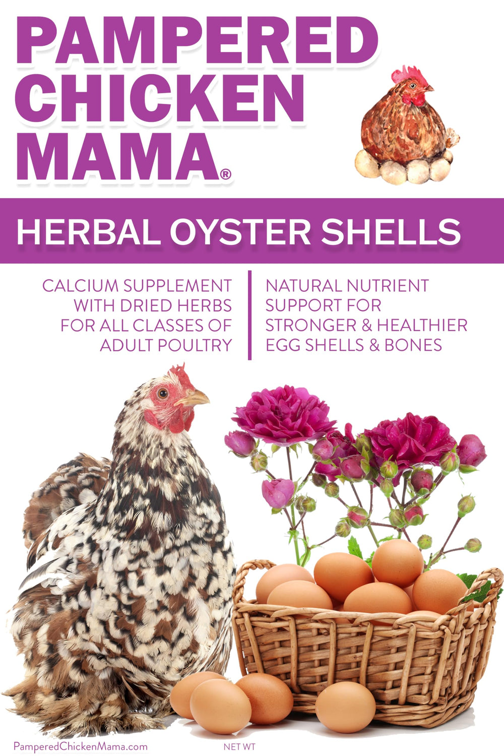 Pampered Chicken Mama herbal oyster shells eggs indicate potential impact on shell quality