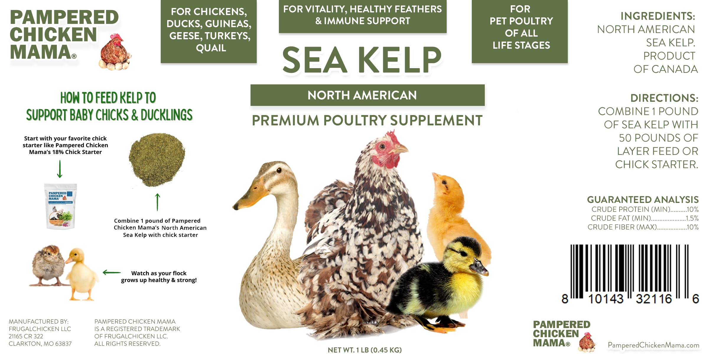 Pampered Chicken Mama kelp birds eating feed shows appetite support and nutrition